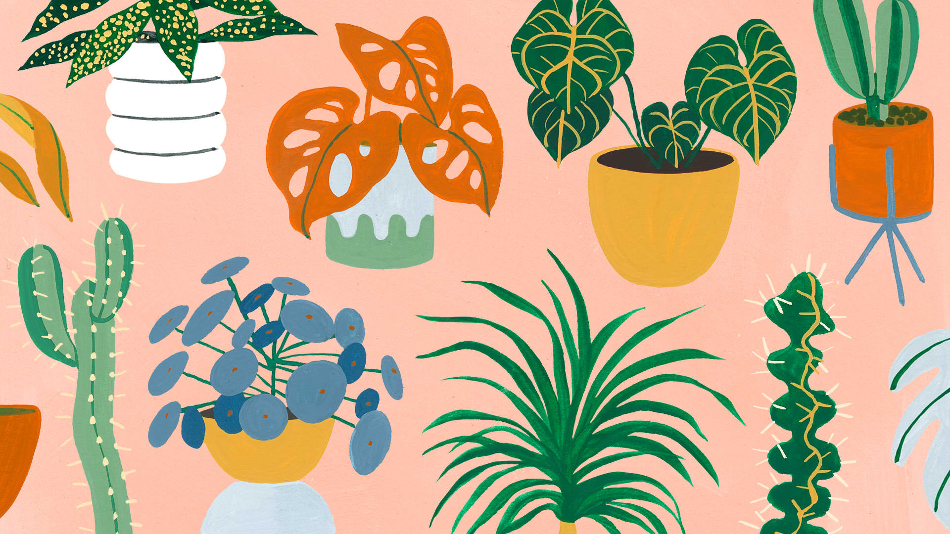 19+ Plants Zoom Backgrounds